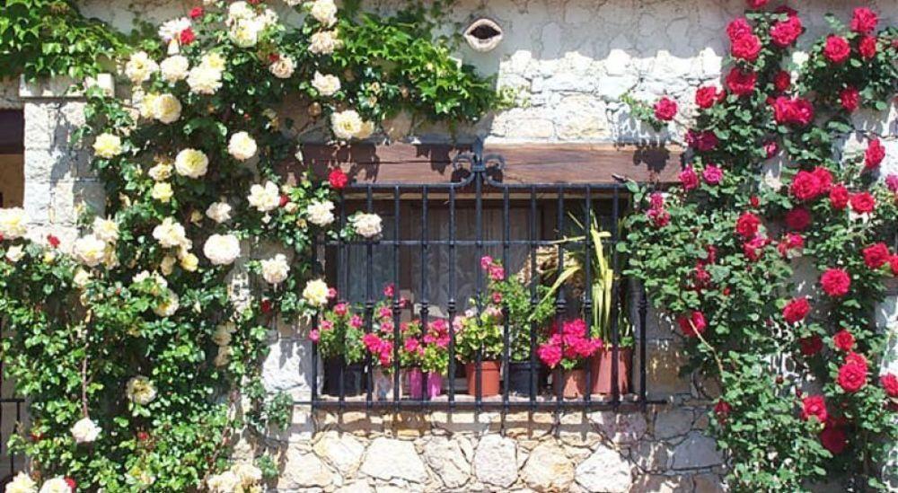 Castel Garoupe Hotel Antibes Exterior photo